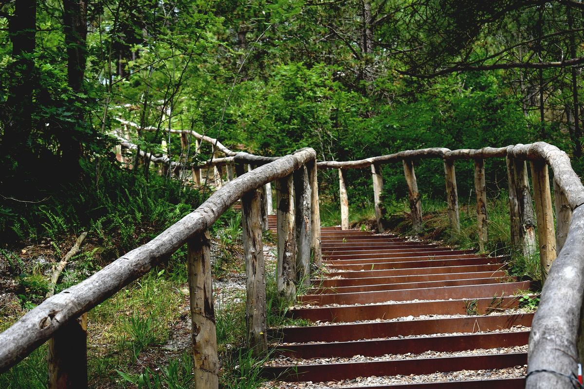 Geworteld in Schoorl