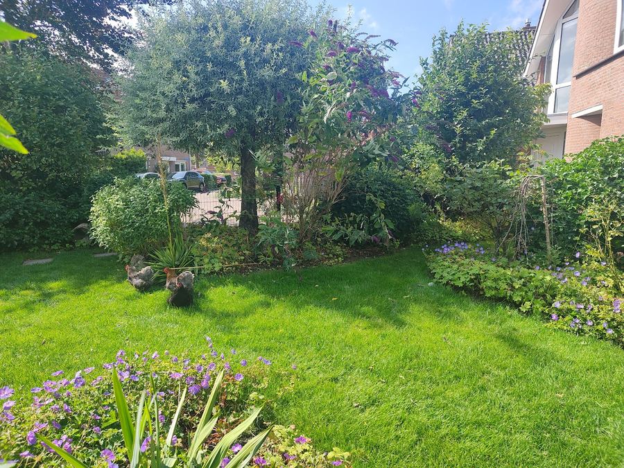 Tuinonderhoud Schoorl