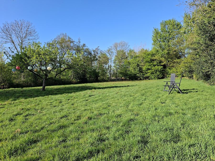 Tuinonderhoud Schoorl