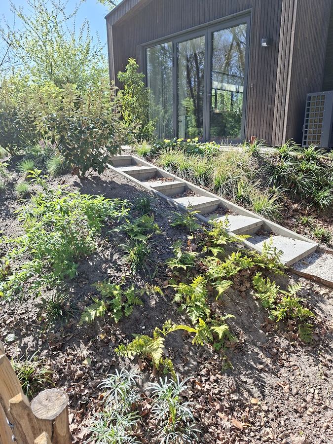 Tuinonderhoud Schoorl