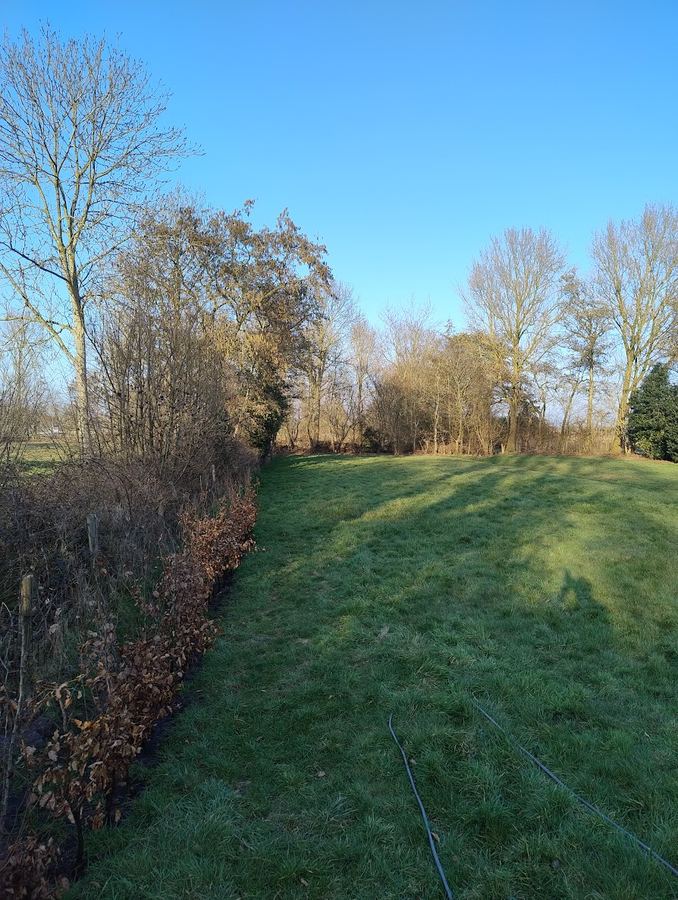 Tuinonderhoud Schoorl